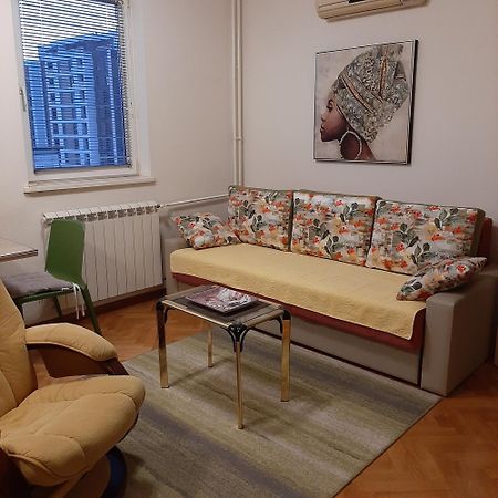 Vlado Apartment Vs Belgrade Exterior photo